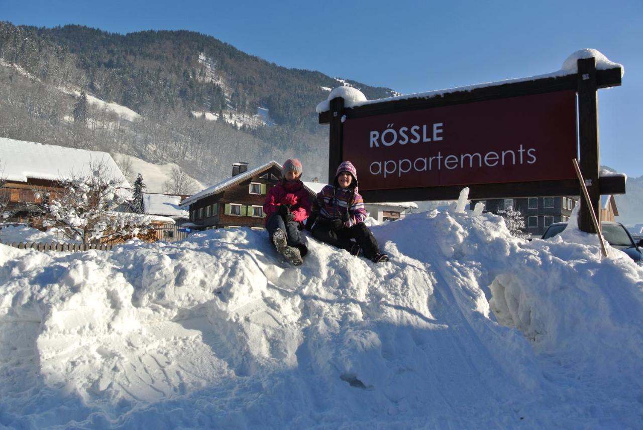 Roessle Appartement بيزاو المظهر الخارجي الصورة