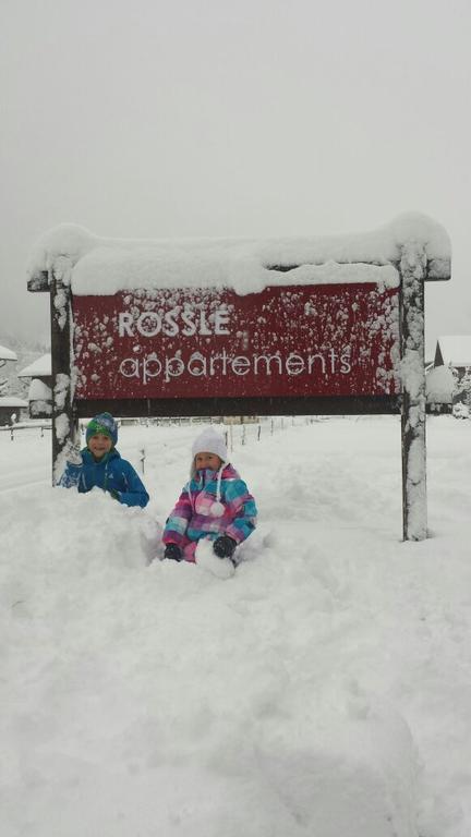 Roessle Appartement بيزاو المظهر الخارجي الصورة
